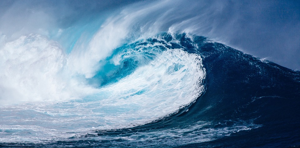 Kviečiame dalyvauti virtualioje parodoje „Ką slepia vandenynas?”